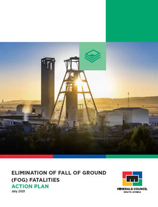 Minerals Council Elimination of fog fatalities action plan - Full document